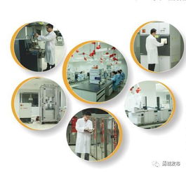 為金發(fā)科技研發(fā)團隊點贊 亞太第一、全球第二的環(huán)保科技先鋒